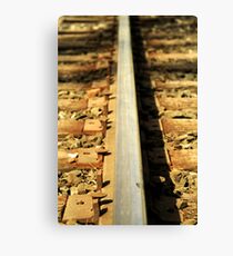 Forgotten railroad tracks Canvas Print