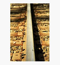 Forgotten railroad tracks Photographic Print
