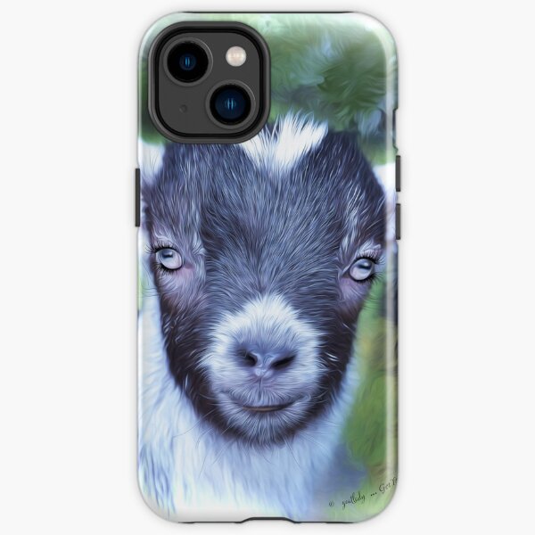Portrait of a Goat - Pygmy Kid iPhone Tough Case
