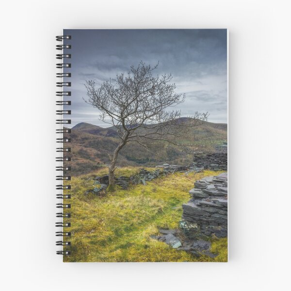 Item preview, Lone Tree designed and sold by MitchellAK.