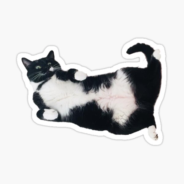 Horizontal Tuxedo Cat on Her Back Sticker