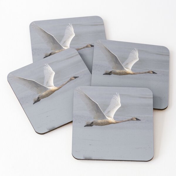 Item preview, Trumpeter  Swan 2019-1 designed and sold by Thomasyoung.