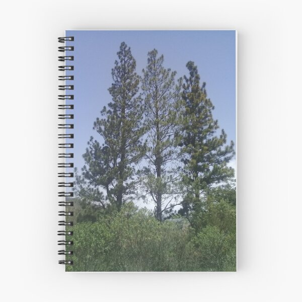 Item preview, Pines in Venezuela designed and sold by yayor.