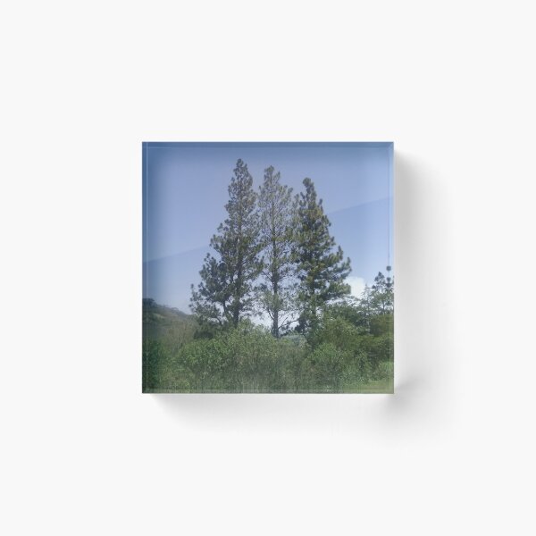 Item preview, Pines in Venezuela designed and sold by yayor.