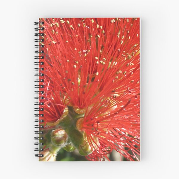 Item preview, Callistemon Harkness designed and sold by Leanne Davis.