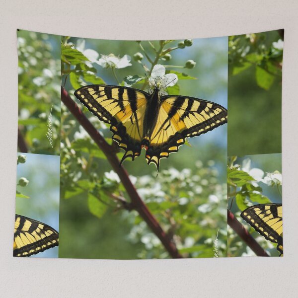 Item preview, Tiger Swallowtail Butterfly designed and sold by srwdesign.
