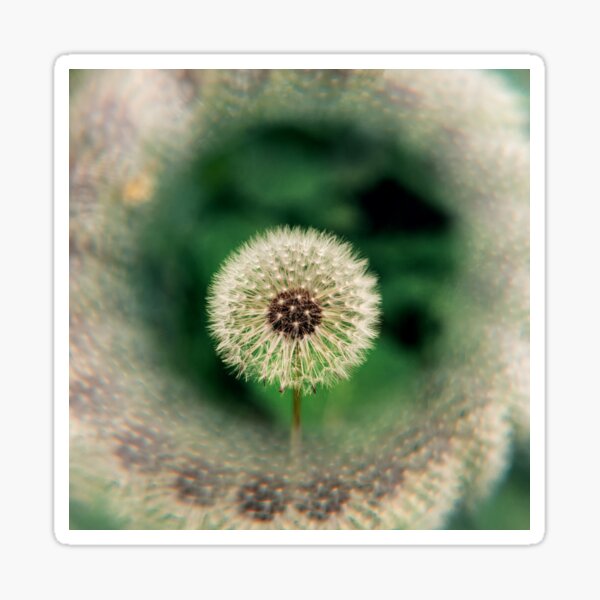 dandelion #1 Sticker