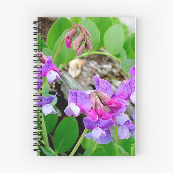 Item preview, Purple Vetch  designed and sold by AnnDixon.