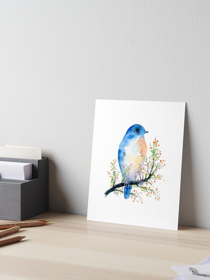 Birds Watercolor Workbook – Millstream Bainbridge