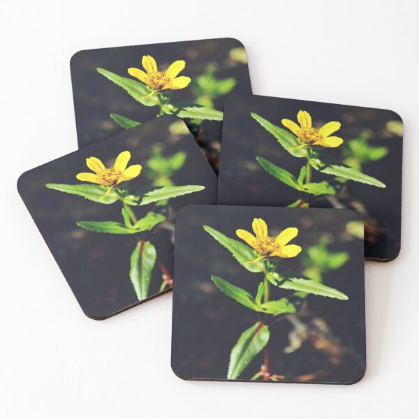 Item preview, Beck's Water-marigold designed and sold by Kathleen Daley.