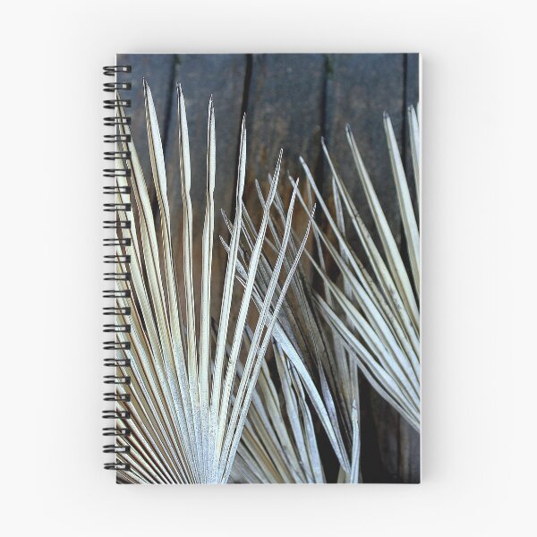 Item preview, Palmistry designed and sold by Michael May.