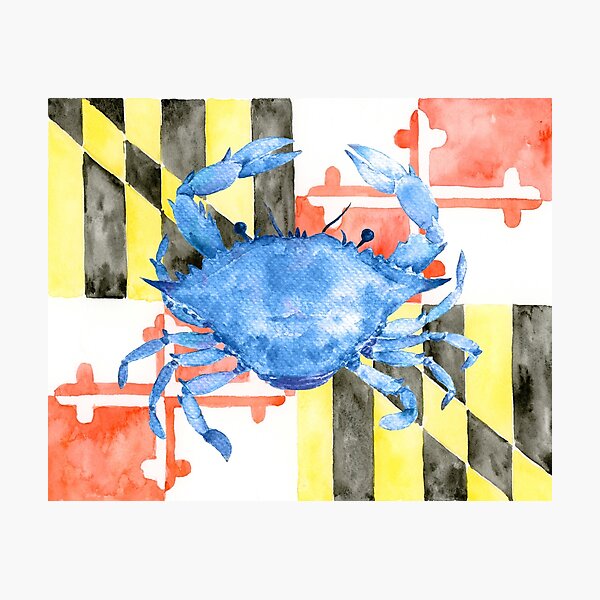 Watercolor Maryland Flag and Blue Crab Photographic Print