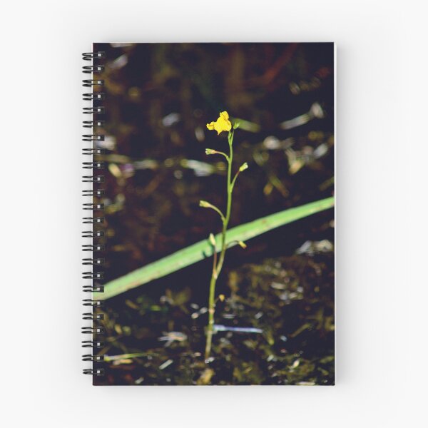 Item preview, Intermediate Bladderwort designed and sold by Kathleen Daley.