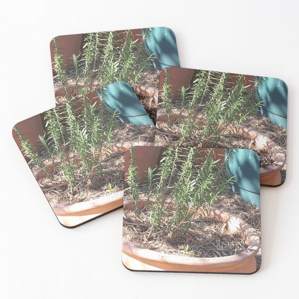 Item preview, plant pot delight designed and sold by phuket221108.