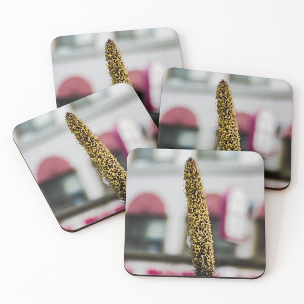 Item preview, Cat tail seeding  designed and sold by SRosuphotos.