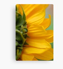 Hello Sun! Canvas Print