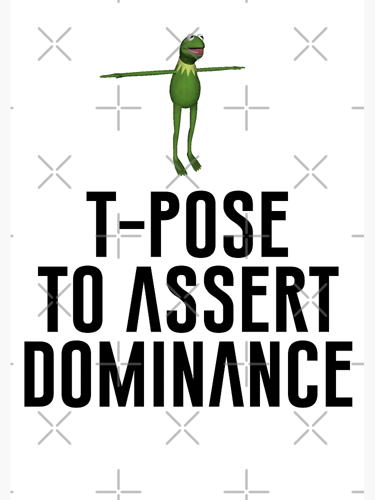 Book of the random Meme stuff - T Pose to Assert Your Dominance