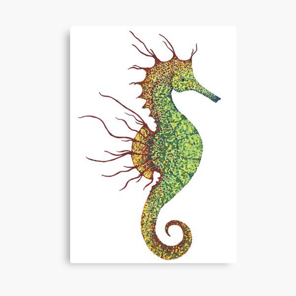 Coral seahorse Canvas Print