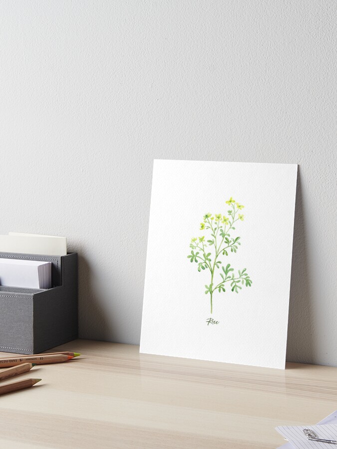 Láminas botánica y flores - IKEA