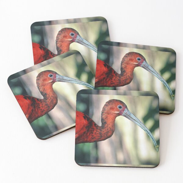 Item preview, Scarlet Ibis designed and sold by Savannah Gibbs.