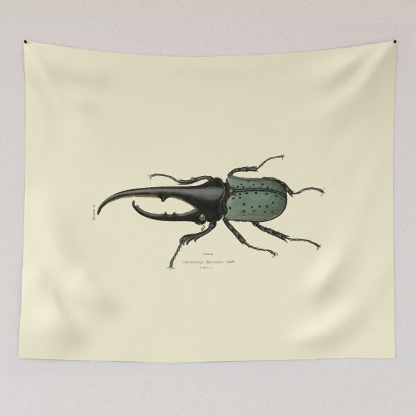 Item preview, Hercules Beetle Illustration designed and sold by chriswig.