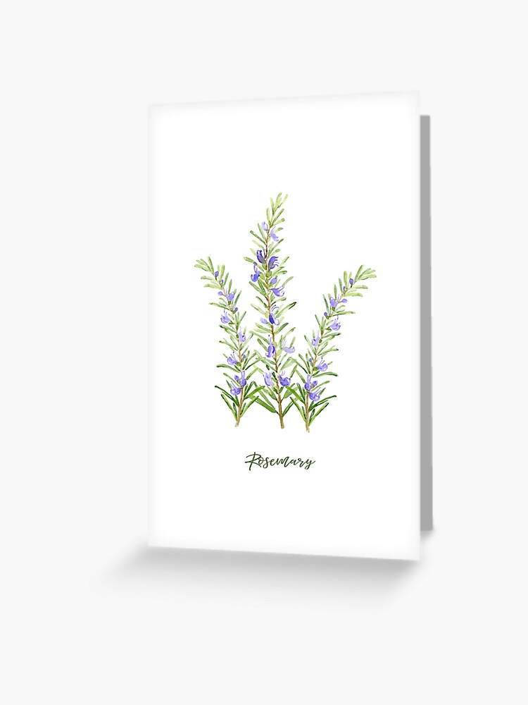 Flowering Rosemary Sparkly Botanical Card Rosemary Plant Greeting Card Green and Purple Watercolor Printed Card