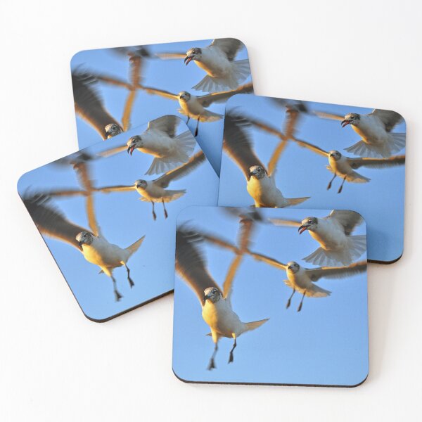 Item preview, Seagulls designed and sold by Savannah Gibbs.