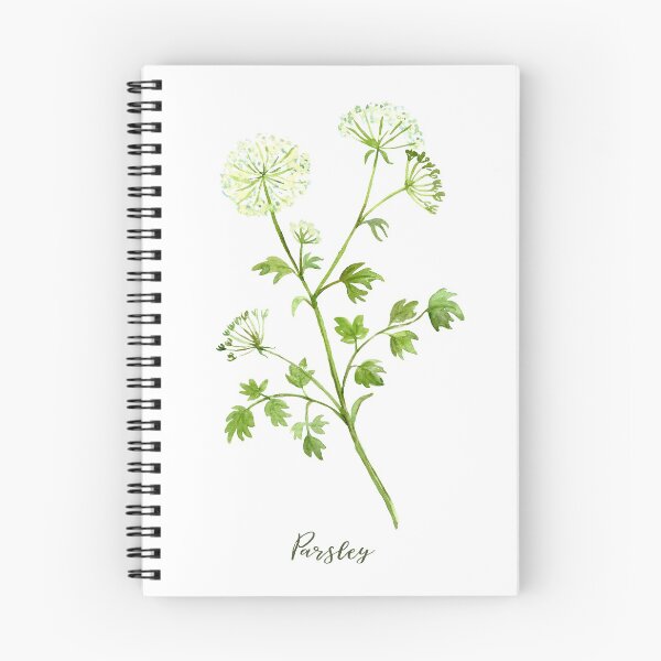 Item preview, Watercolor herb parsley in flowers designed and sold by cornercroft.