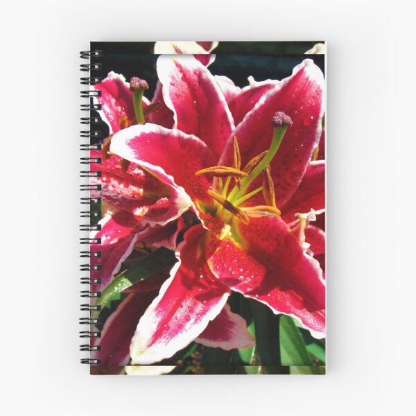 Item preview, Consider the lilies! - Sermon on the Mount designed and sold by BlueMoonRose.