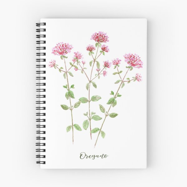 Item preview, Botanical illustration of herb Oregano  designed and sold by cornercroft.