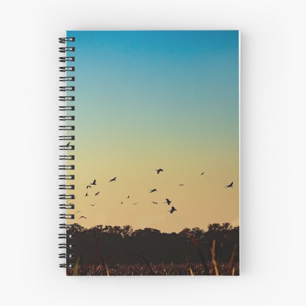 Item preview, Birds at Sunrise designed and sold by DPalmer.