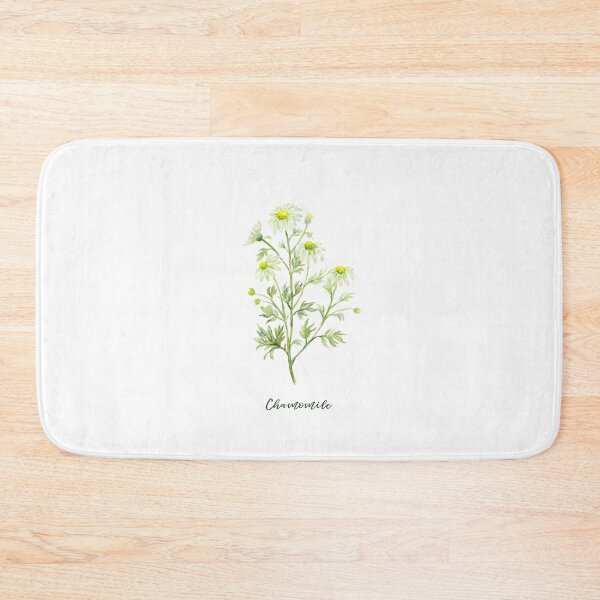 Item preview, Botanical illustration of herb Chamomile in white flowers designed and sold by cornercroft.