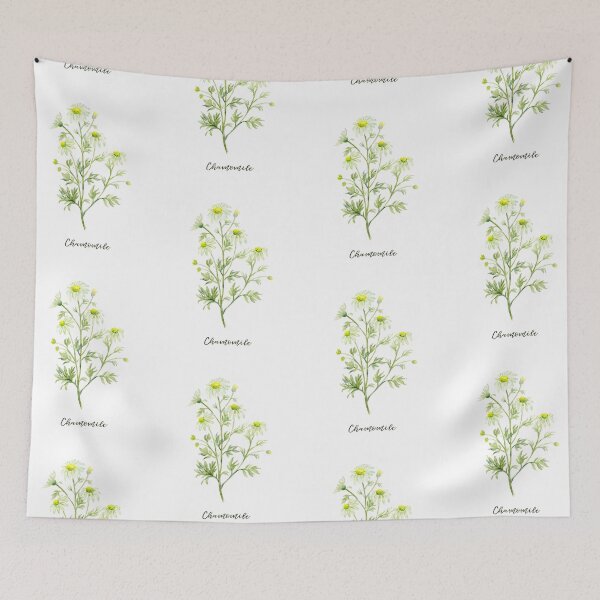 Item preview, Botanical illustration of herb Chamomile in white flowers designed and sold by cornercroft.