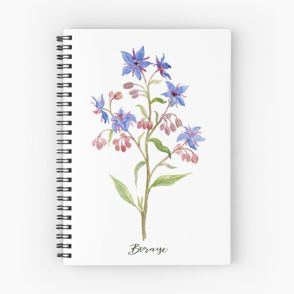 Item preview, Watercolour herb borage in blue flowers designed and sold by cornercroft.