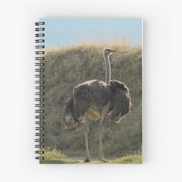 Item preview, Ostrich is one of the world's largest birds......... designed and sold by DonnaMoore.