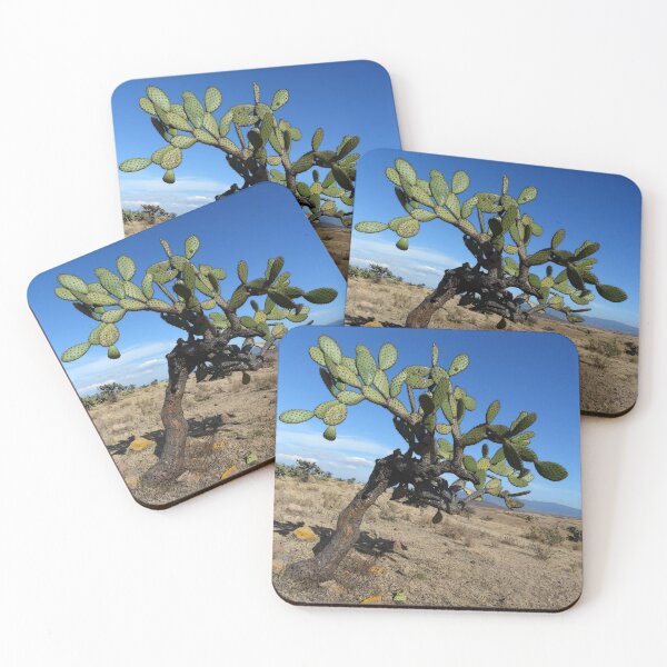 Item preview, ©MS Nopalera Sky IAT designed and sold by OmarHernandez.