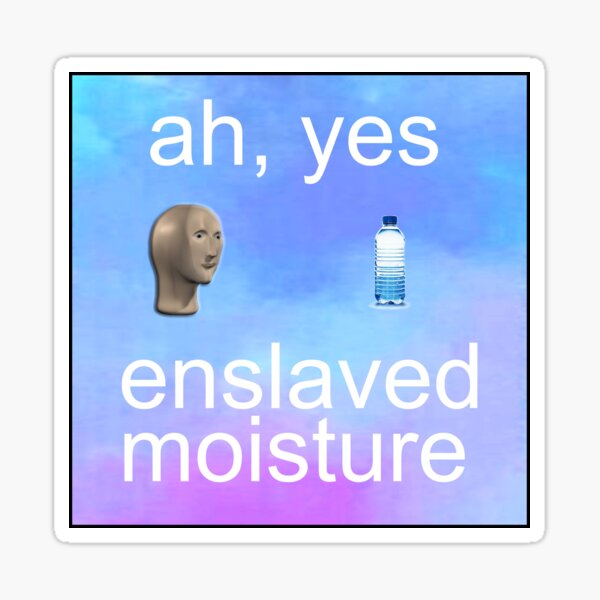 ah yes enslaved moisture meme Sticker