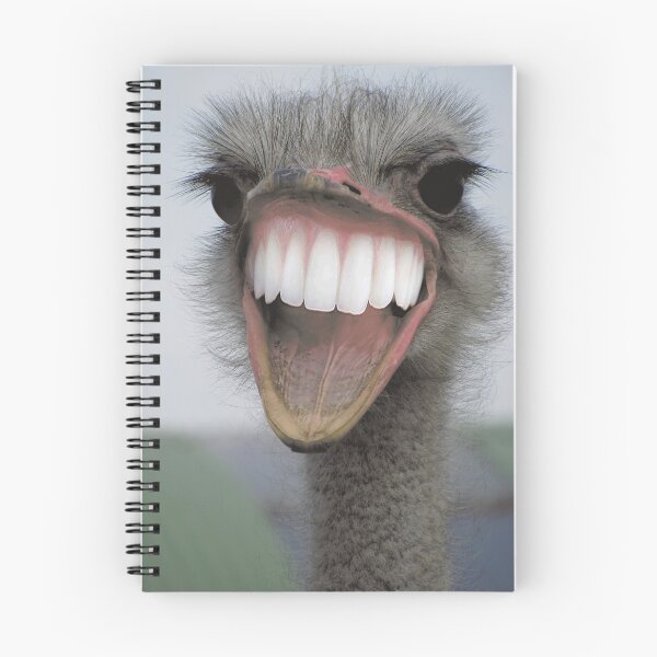 Item preview, Dientes de avestruz designed and sold by LlapBazinga.