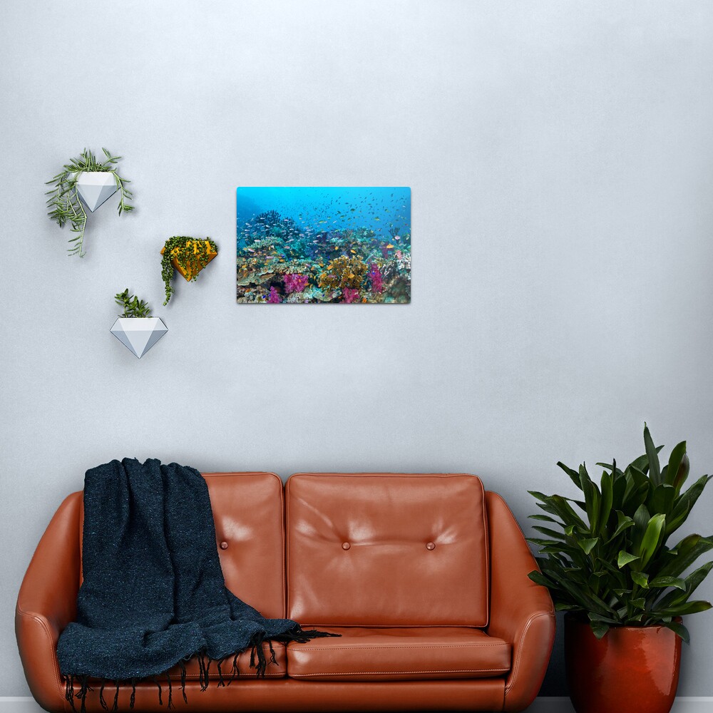 Fantasea Reef Metal Print