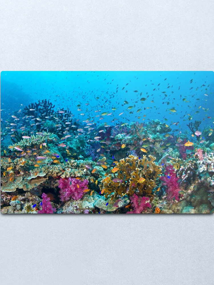 Alternate view of Fantasea Reef Metal Print