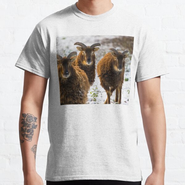 Sheep Classic T-Shirt