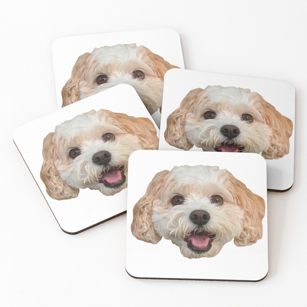 Daisy Butler Coasters (Set of 4)