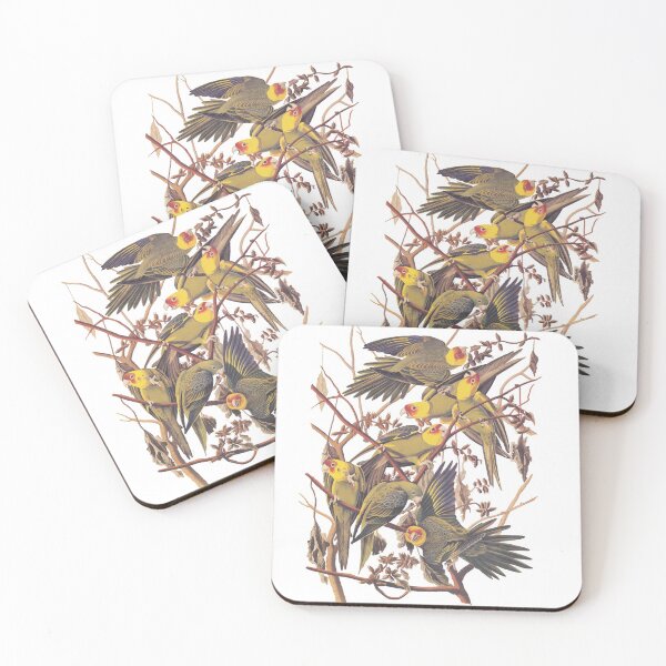 Item preview, Carolina Parakeet Audubon Vintage Bookplate designed and sold by Candice Davis.