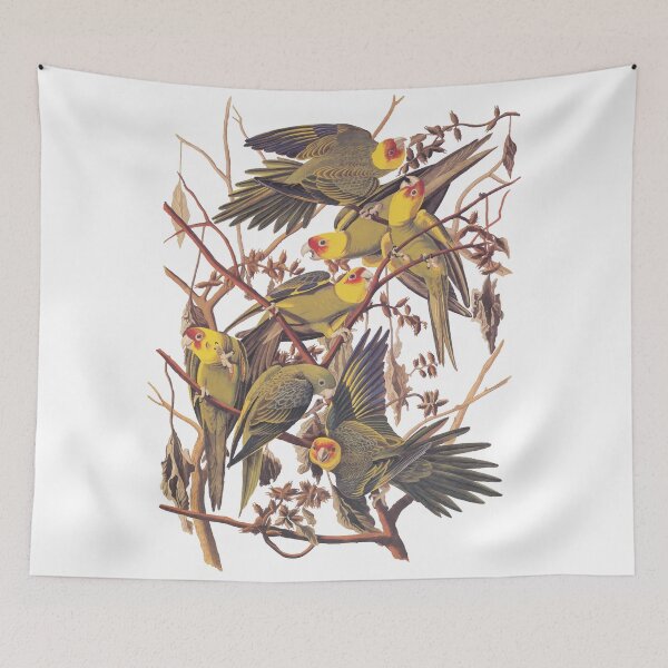 Item preview, Carolina Parakeet Audubon Vintage Bookplate designed and sold by Candice Davis.