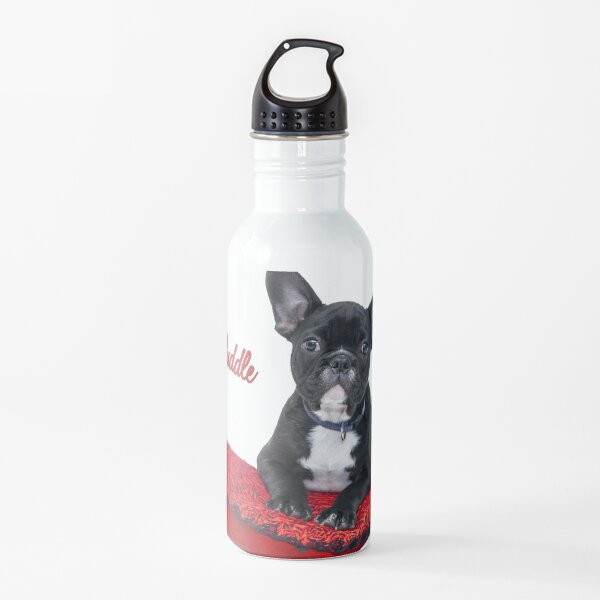 Love French Bulldogs Sports Drinks Water Bottle Dog 