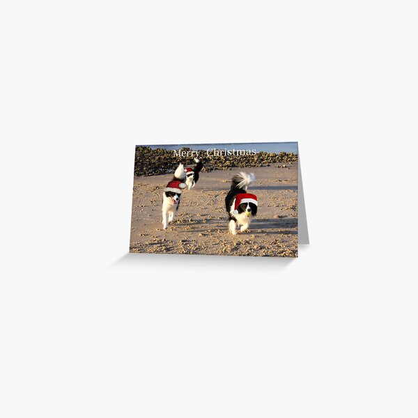 Christmas Aussie Style Greeting Card
