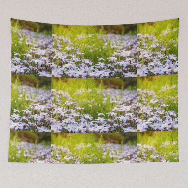 Item preview, Sun-kissed Meadows with White Star Flowers designed and sold by Danielasphotos.