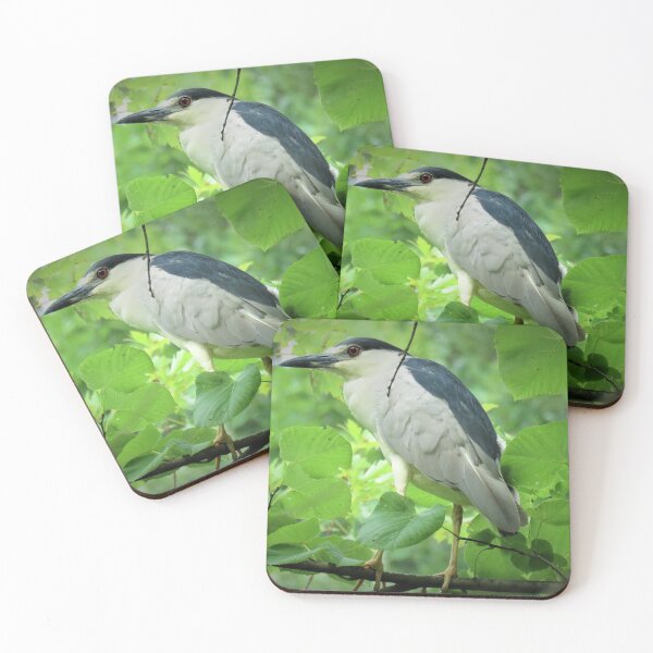 Item preview, Black-crowned Night Heron designed and sold by shutterbug2010.