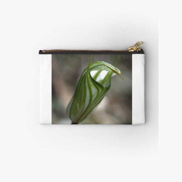 Item preview, Large Shell designed and sold by Ben Loveday.