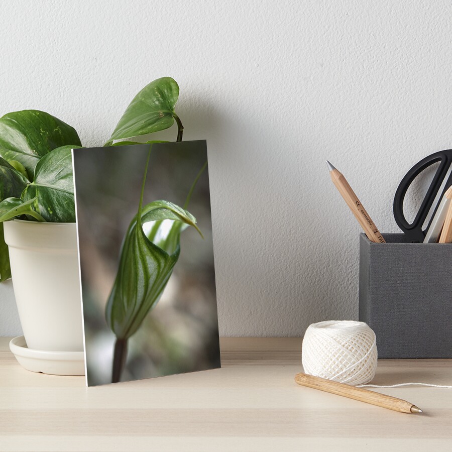 Item preview, Art Board Print designed and sold by fuzzi.